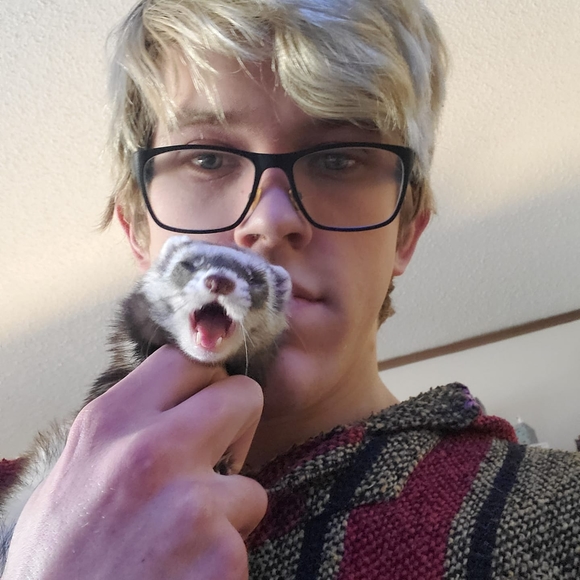 Meet your Posher, Aaron - Picture 1 of 1